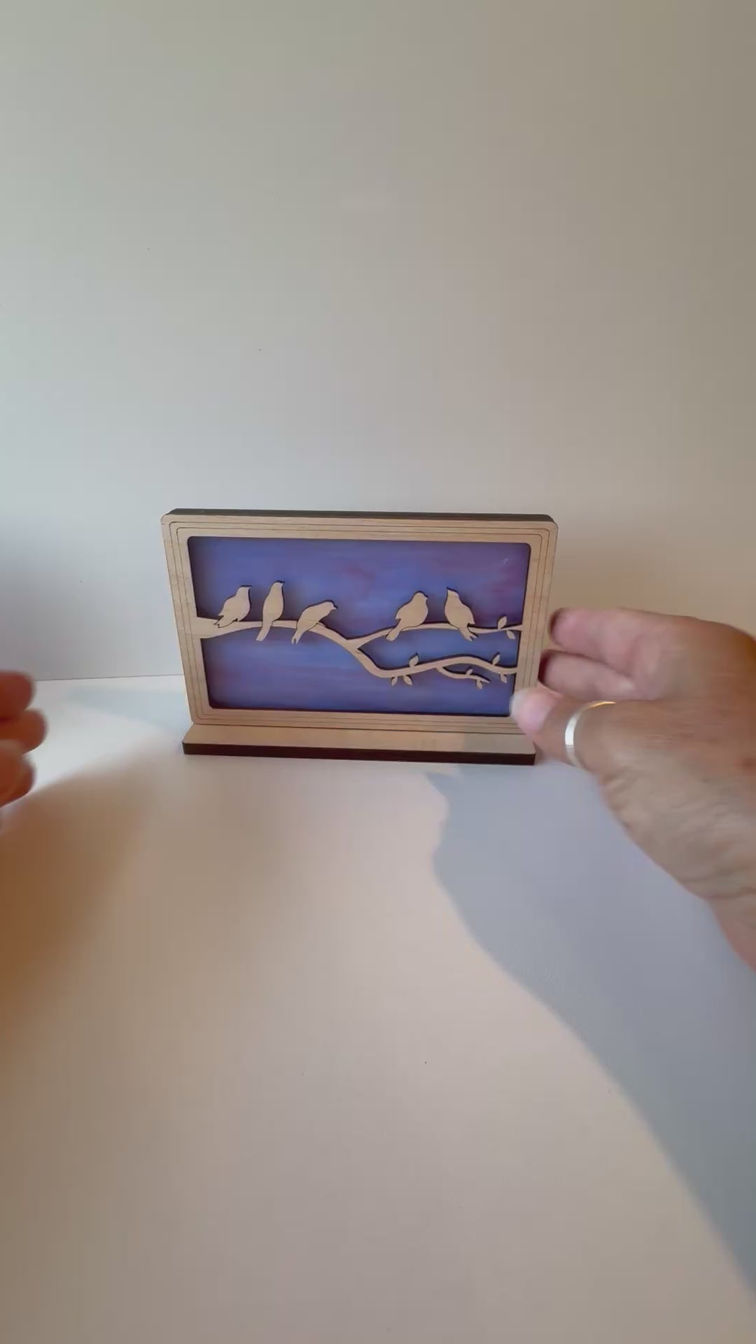 BIRDS OF A FEATHER - Landscape Sunscreen