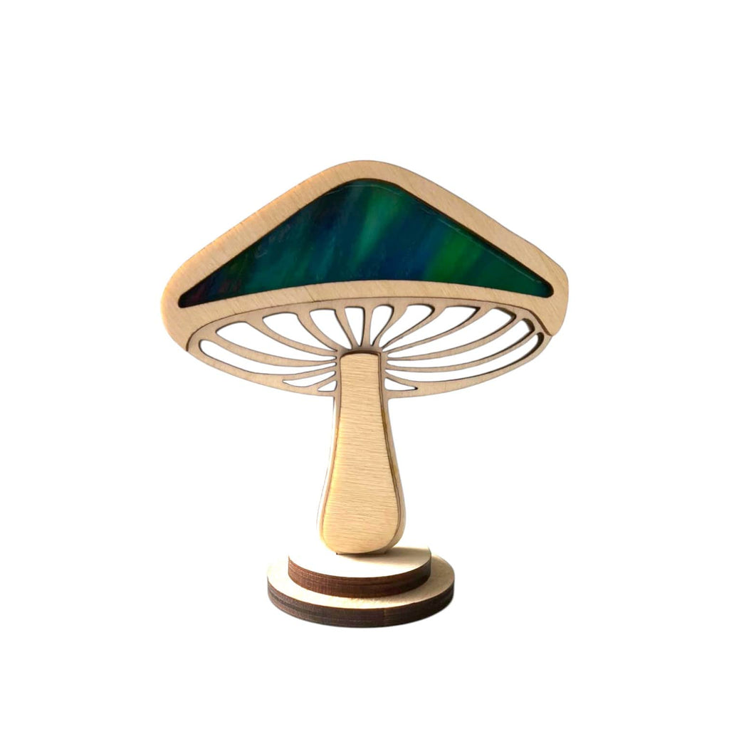 MYSTIC MUSHROOMS - Convex