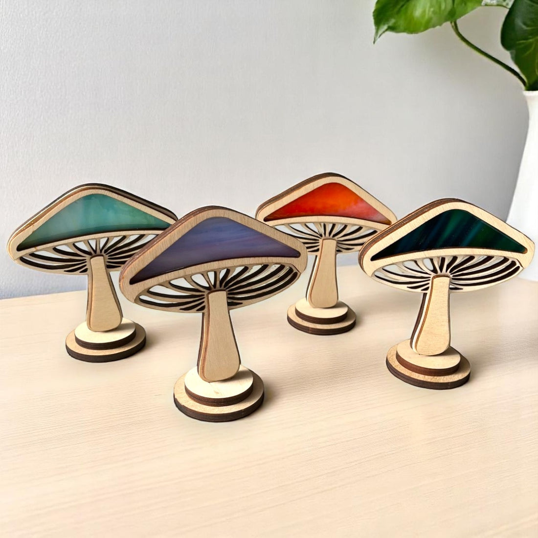Mystic Mushrooms - Convex Shape