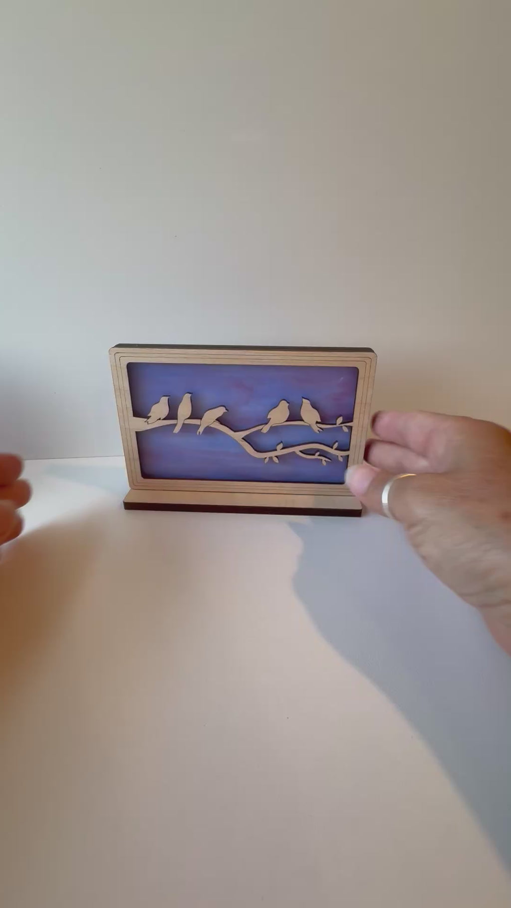 BIRDS OF A FEATHER - Landscape Sunscreen