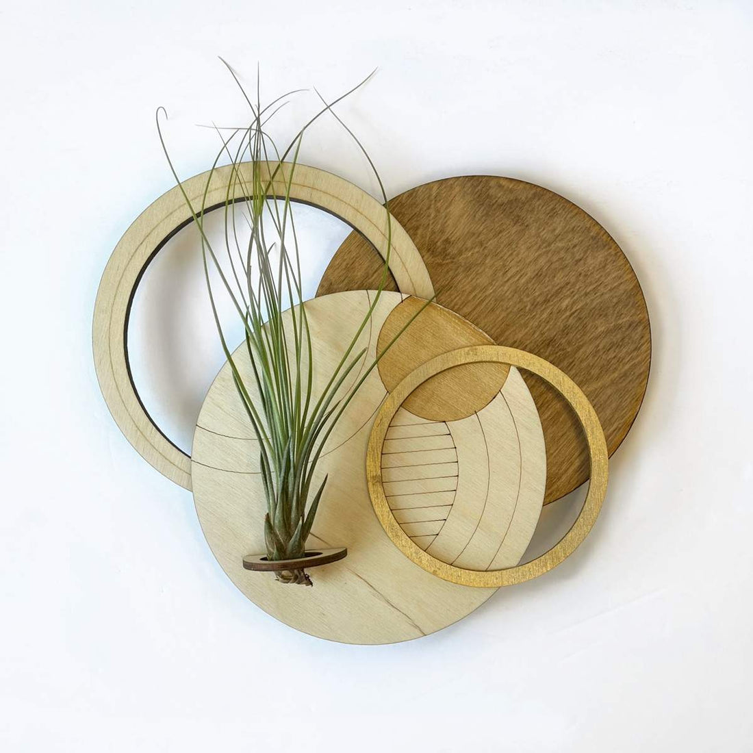 Circle Plant Holder / Wall Hanging 