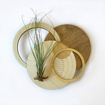 Circle Plant Holder / Wall Hanging #1