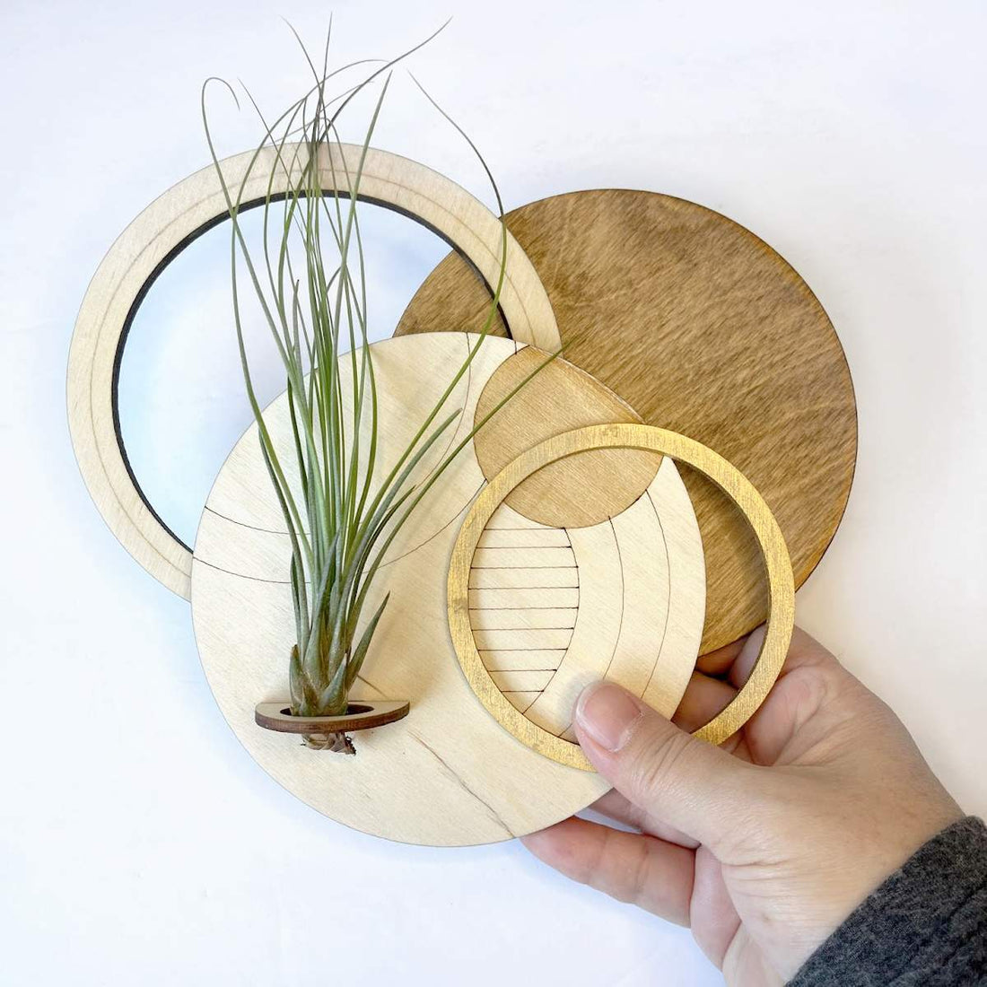 Circle Plant Holder / Wall Hanging 