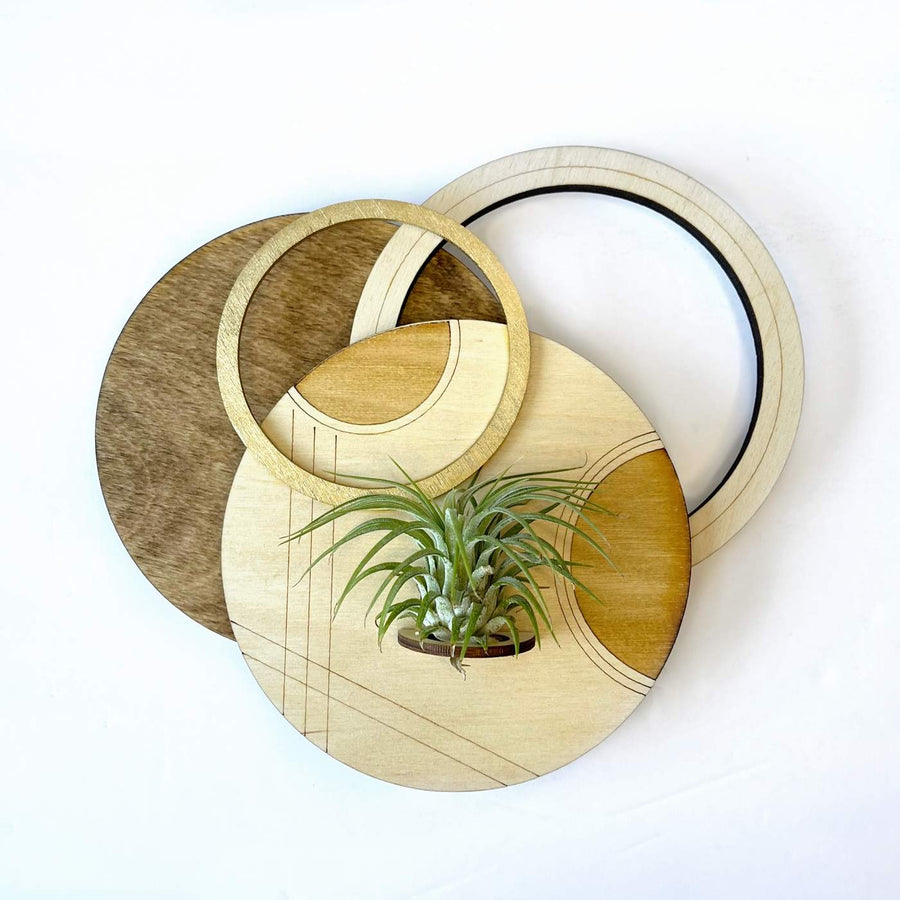 Circle Plant Holder / Wall Hanging #2