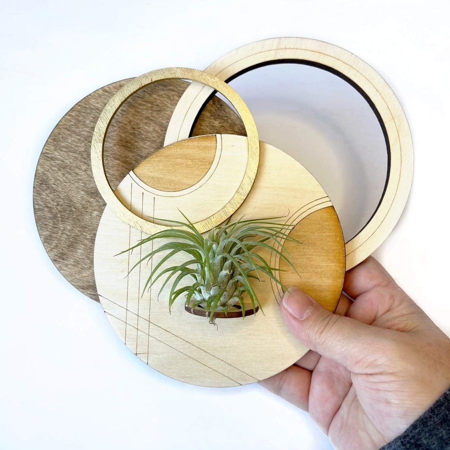 Circle Plant Holder / Wall Hanging #2