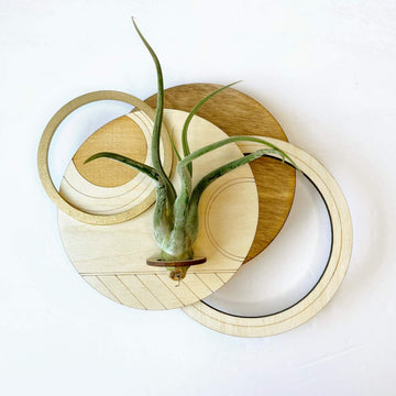 Circle Plant Holder / Wall Hanging #3