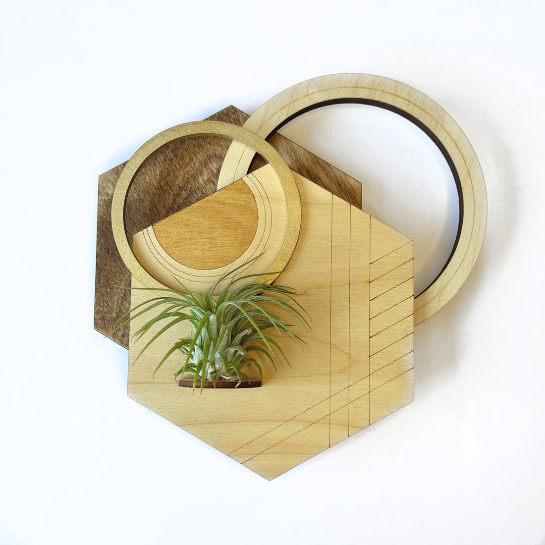 Hexagon Plant Holder / Wall Hanging 