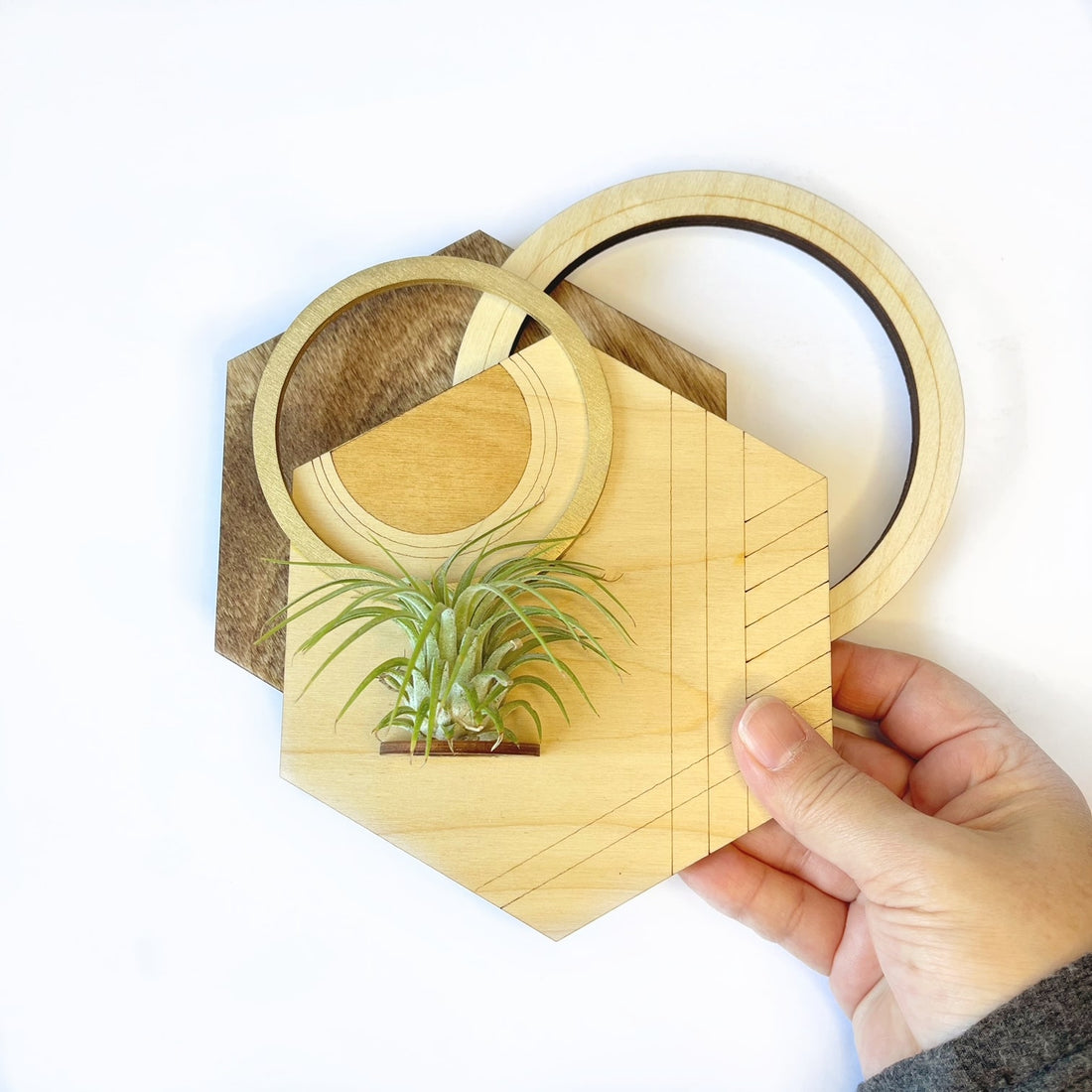 Hexagon Plant Holder / Wall Hanging 