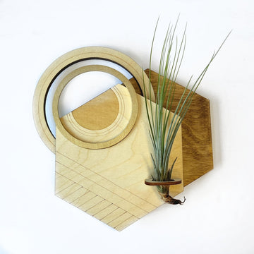 Hexagon Plant Holder / Wall Hanging #3