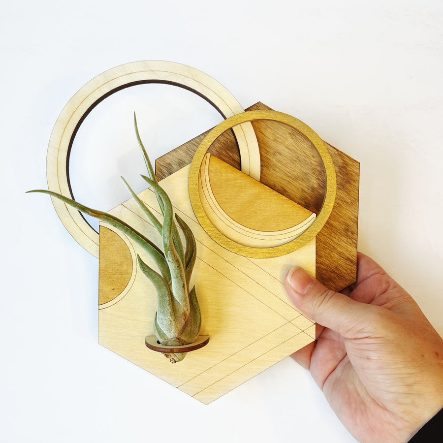 Set of 3 - Hexagon Plant Holder/Wall Hanging Assortment