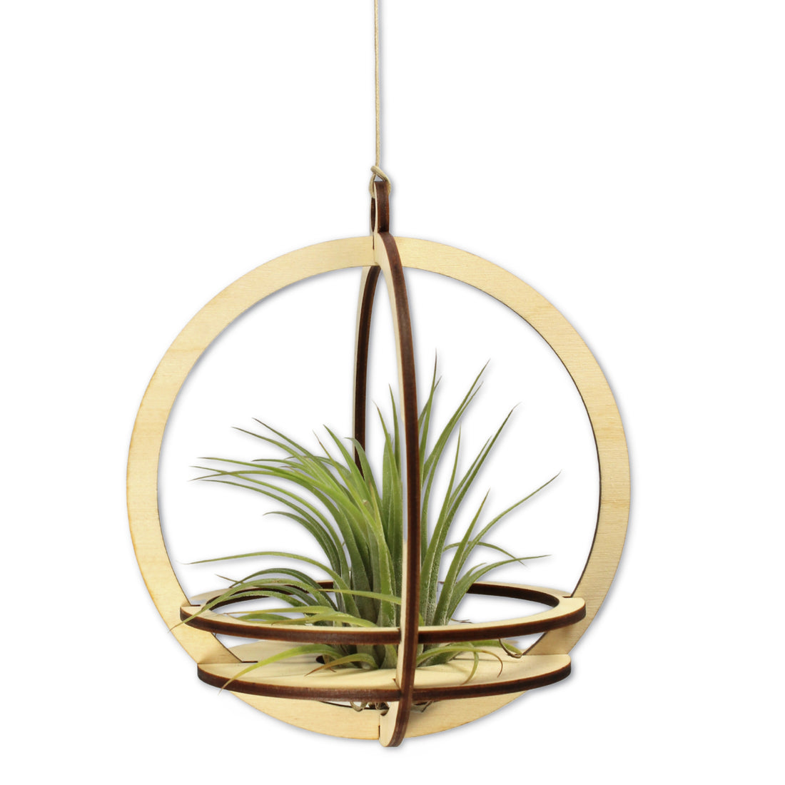 Large Orbit Plant Holder