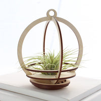 Large Orbit Plant Holder