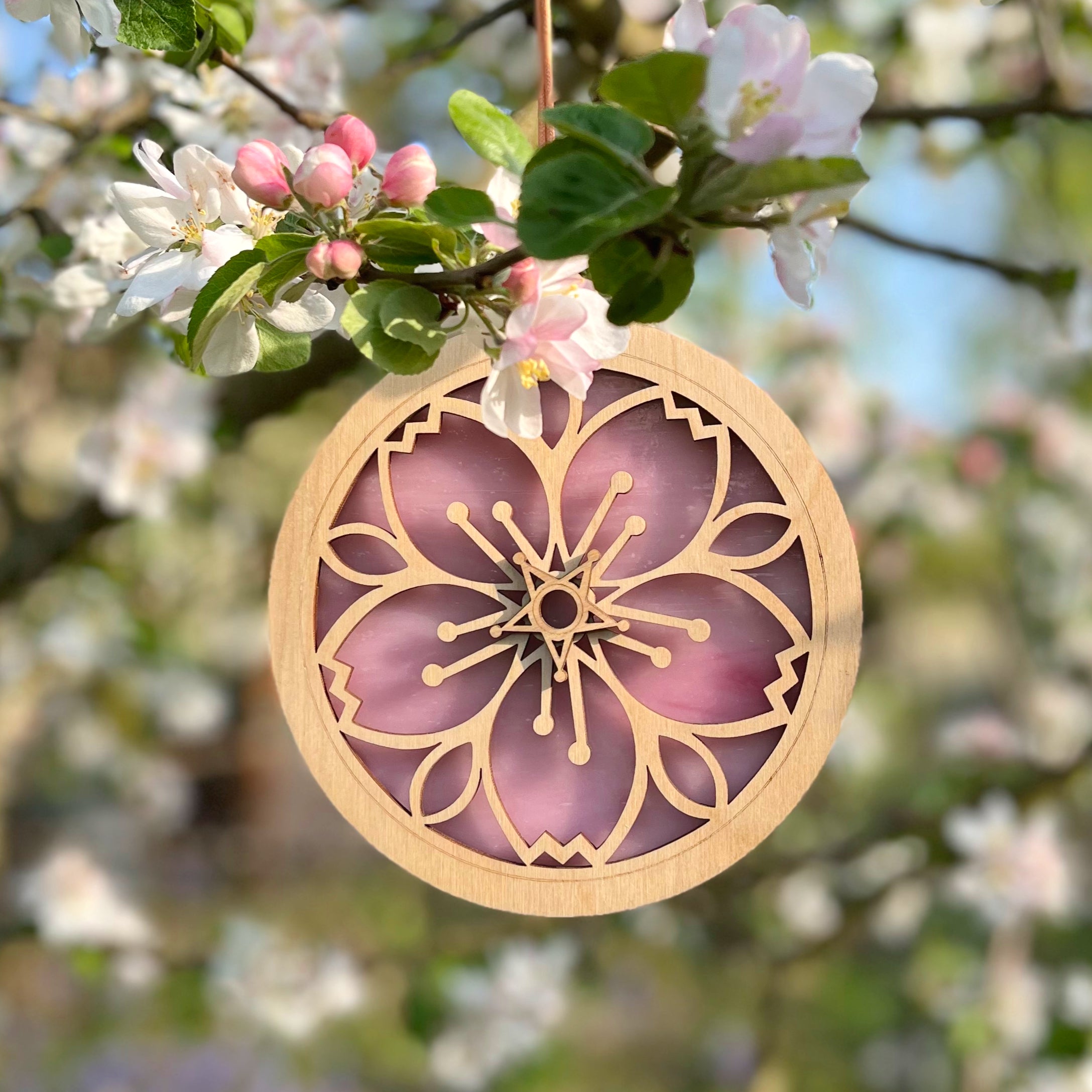 CHERRY BLOSSOM – Ten2Midnight Studios LLC