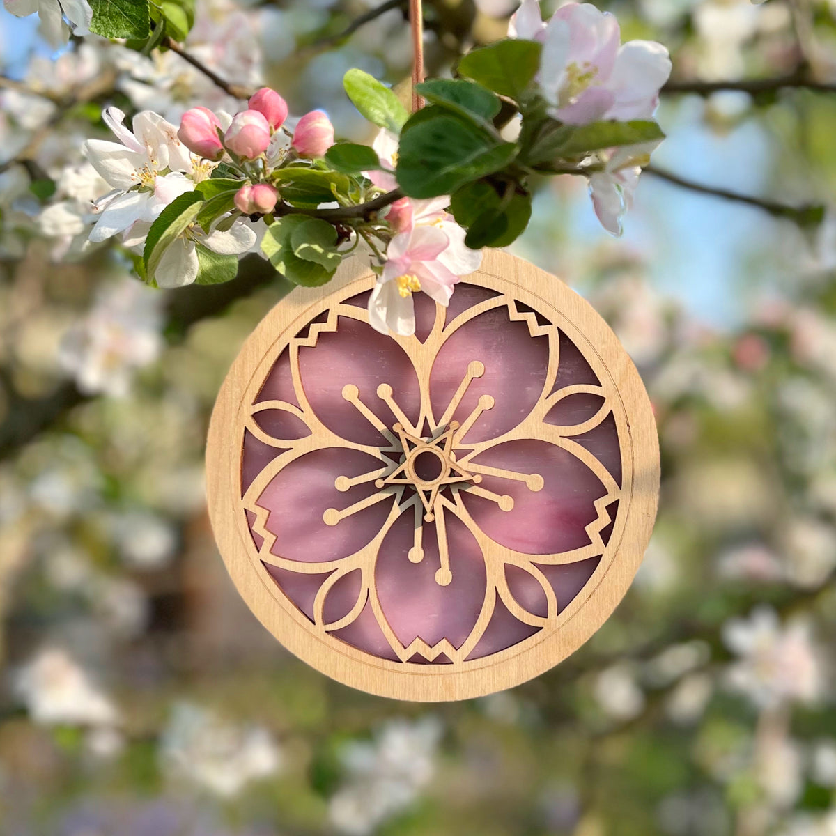 CHERRY BLOSSOM