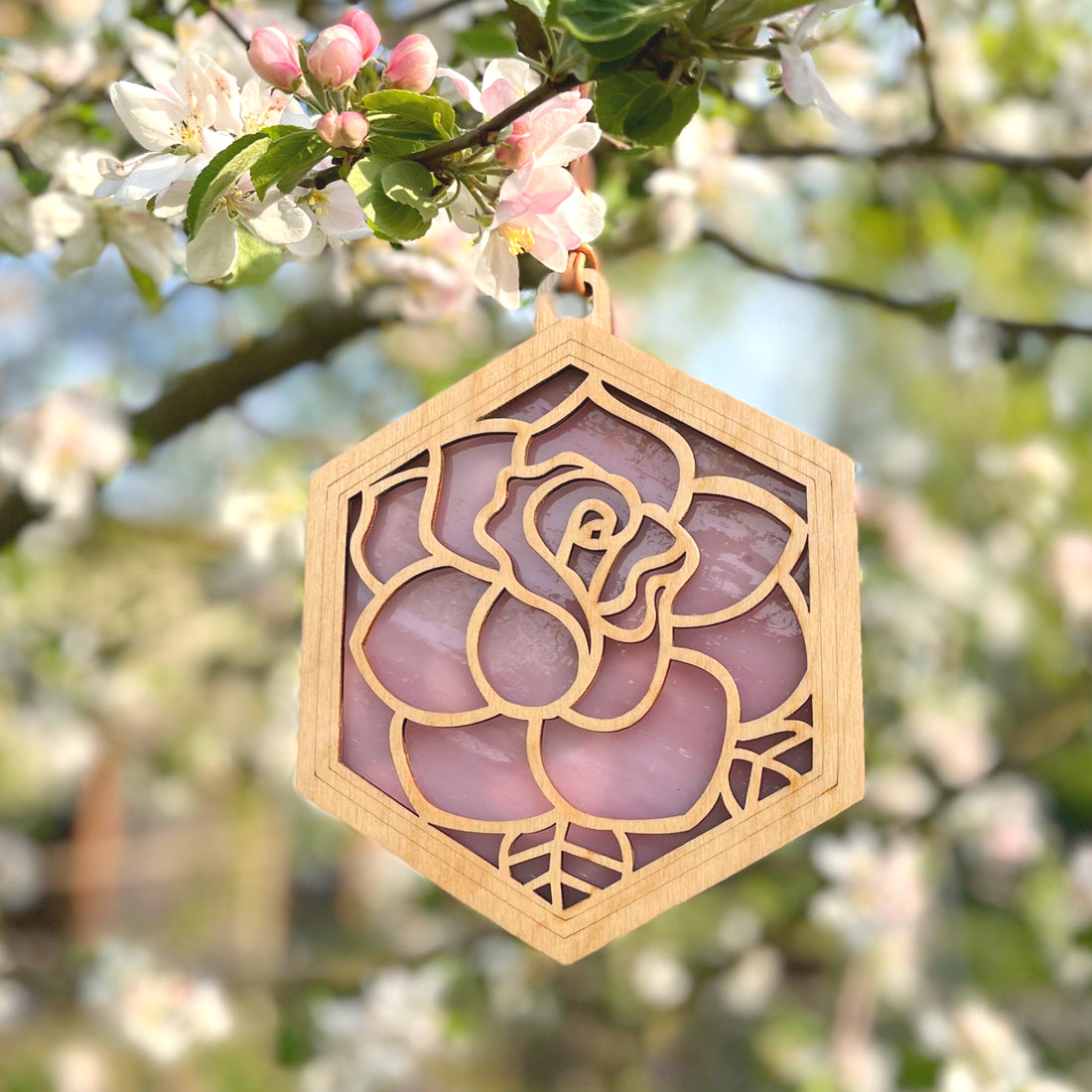 PORTLAND ROSE