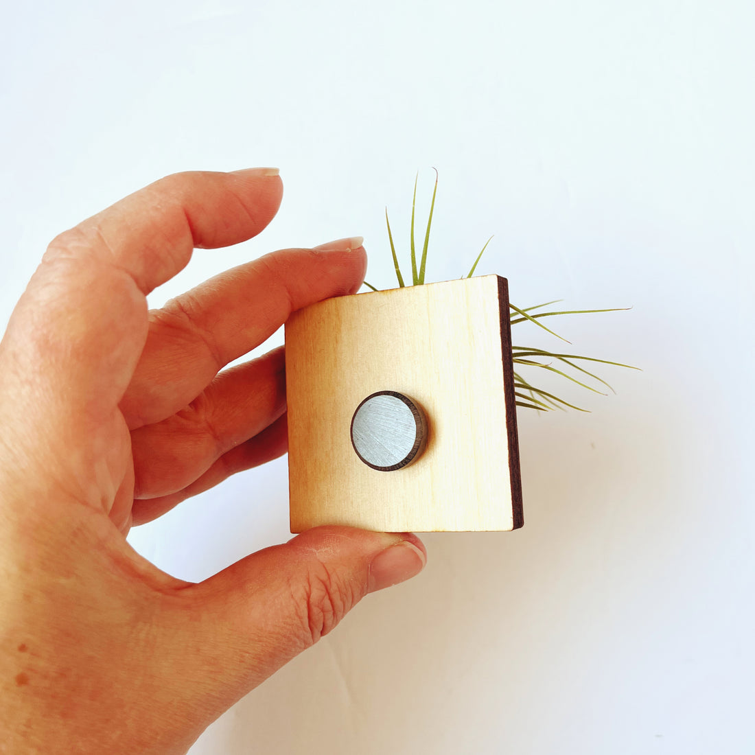 Airplant holder magnet - Square